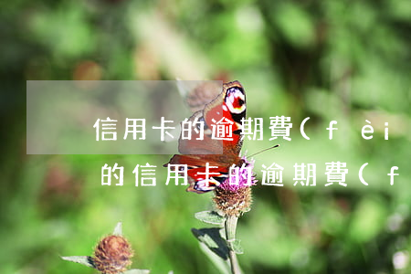 信用卡的逾期費(fèi)和滯納金怎么算的（信用卡的逾期費(fèi)和滯納金怎么算）