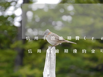 信用卡的逾期費(fèi)能減免嗎(因坐牢信用卡逾期違約金可以減免嗎)
