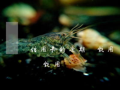 信用卡的逾期還能用嗎(逾期的信用卡還完了還能用嗎)
