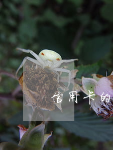 信用卡的逾期金額怎么算 怎樣算信用卡逾期