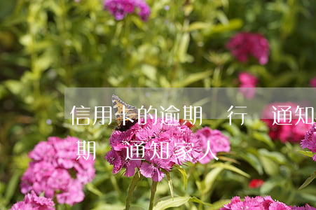 信用卡的逾期銀行會通知家人嗎 銀行貸款逾期會通知家人嗎