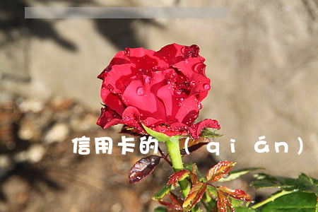 信用卡的錢(qián)不還怎么辦啊