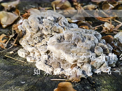 信用卡的錢不還有什么影響(欠信用卡上的錢如果不還會(huì)怎么樣)
