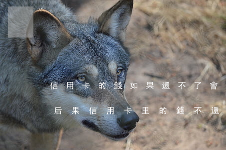 信用卡的錢如果還不了會發(fā)生什么后果(信用卡里的錢不還會有什么結果)