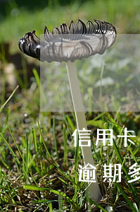信用卡的錢逾期一年會怎么樣(你們的信用卡逾期多久了)