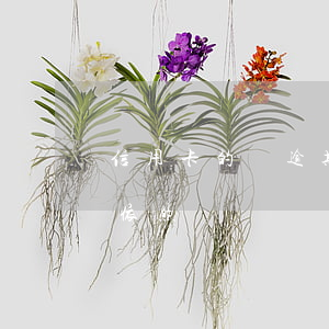 信用卡的錢逾期一次還掉(信用卡逾期但每月依然還錢)