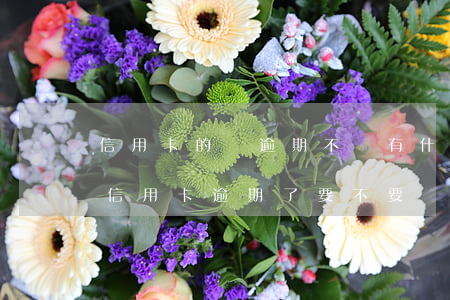 信用卡的錢逾期不還有什么后果(本人不在了信用卡逾期了要不要還款)