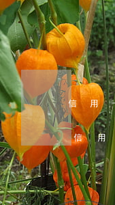 信用卡的錢還不起會(huì)越累越多嗎(信用卡如果還多了錢會(huì)怎么樣)