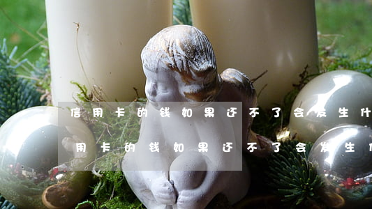 信用卡的钱如果还不了会发生什么后果-信用卡的钱如果还不了会发生什么后果呢