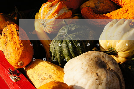 信用卡的钱被朋友花掉逾期了-有钱花逾期的朋友们