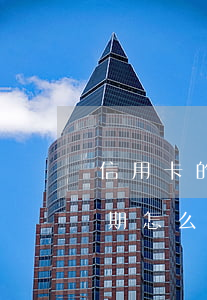 信用卡的钱逾期怎么办理分期（信用卡的钱逾期怎么办）