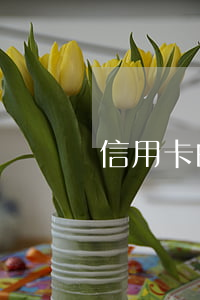 信用卡的高利可以不還嗎(信用卡不還利息高嗎)