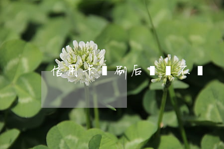 信用卡盜刷后錢還不還