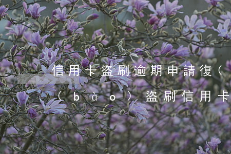 信用卡盜刷逾期申請復(fù)議(被人舉報(bào)盜刷信用卡)
