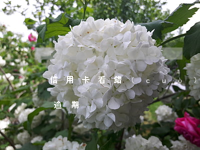 信用卡看錯(cuò)賬單導(dǎo)致逾期