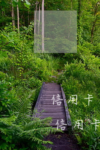 信用卡看错还款金额逾期了怎么办-如果还信用卡还错了怎么办