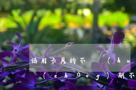 信用卡真的不還會(huì)坐牢嗎(信用卡長(zhǎng)期不還會(huì)坐牢嗎)