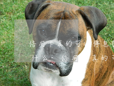 信用卡真的可以停息掛賬嗎依據(jù)是什么-信用卡真的可以停息掛賬嗎依據(jù)是什么意思