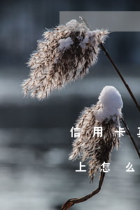信用卡真的還不上怎么辦(信用卡用完了還不上怎么辦)