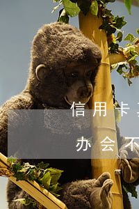 信用卡真还不起的下场(欠信用卡还不上怎么办会不会坐牢)