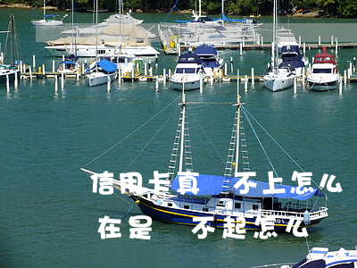 信用卡真還不上怎么辦(信用卡實(shí)在是還不起怎么辦)