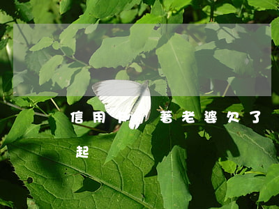 信用卡瞞著老婆欠了錢 用老婆信用卡老婆被起訴