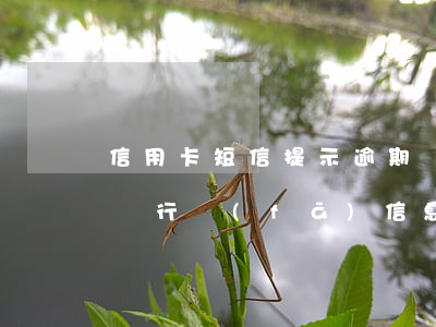 信用卡短信提示逾期進(jìn)征信嗎-銀行發(fā)信息逾期上征信