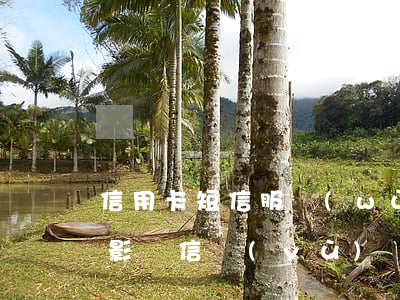 信用卡短信服務(wù)逾期會(huì)影響信譽(yù)嗎-信用卡短信服務(wù)逾期會(huì)影響信譽(yù)嗎知乎