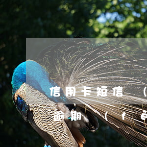 信用卡短信費(fèi)用算逾期嗎(信用卡逾期費(fèi)用計(jì)算)