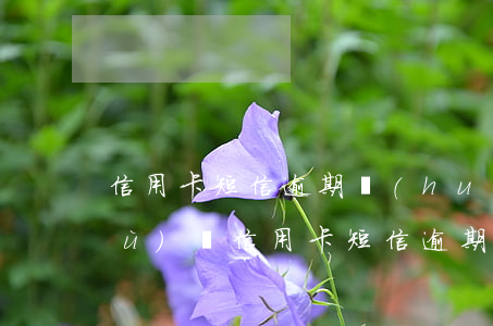 信用卡短信逾期會(huì)影響信譽(yù)嗎(信用卡短信逾期會(huì)影響信譽(yù)嗎嗎)