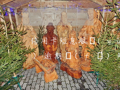 信用卡短息服務(wù)費出現(xiàn)逾期(發(fā)短信信用卡逾期已立案)