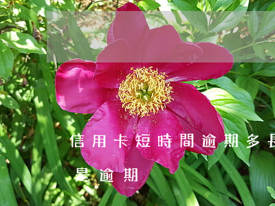 信用卡短時間逾期多長時間(欠信用卡多久算是逾期)