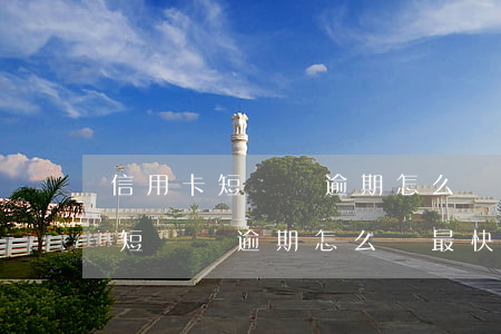 信用卡短時間逾期怎么辦最快還清-信用卡短時間逾期怎么辦最快還清