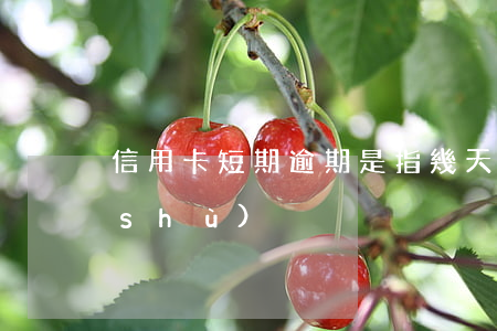 信用卡短期逾期是指幾天(信用卡逾期天數(shù))
