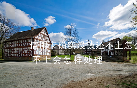 信用卡确实没钱还不上怎么办(信用卡的钱还不上会怎样处理)