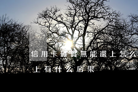 信用卡確實無能還上怎么辦(如果信用卡還不上有什么后果)
