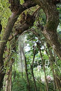 信用卡社區(qū)逾期怎么開證明(信用卡社區(qū)逾期怎么開證明)
