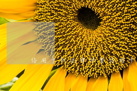 信用卡祈述律师费(信用卡祈述律师费)