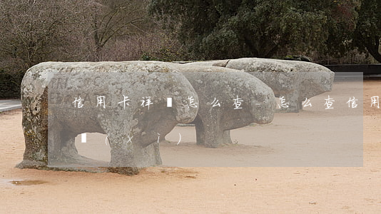 信用卡祥單怎么查-怎么查信用卡的交易明細(xì)