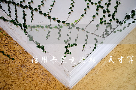 信用卡究竟逾期幾天才算逾期