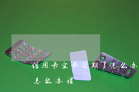 信用卡空卡逾期了怎么办(信用卡空卡逾期了怎么办理)