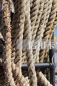 信用卡空卡逾期犯詐騙罪嗎(信用卡逾期多少錢構(gòu)成詐騙罪)