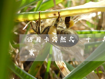 信用卡突然欠幾千萬 欠信用卡幾千元錢會立案嗎