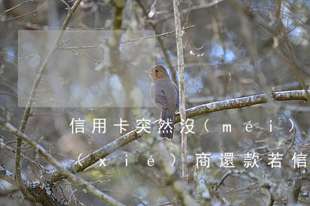 信用卡突然沒(méi)有最低還款可以協(xié)商還款 若信用卡最低還款額度還不上