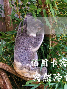 信用卡突然降低額度是否可以起訴-信用卡突然降低額度是否可以起訴欠款人