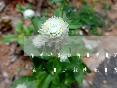信用卡突然降額度還不上怎么辦(信用卡還進去了馬上就降低額度)
