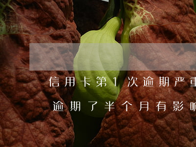 信用卡第1次逾期严重吗(第一次使用信用卡逾期了半个月有影响吗?)
