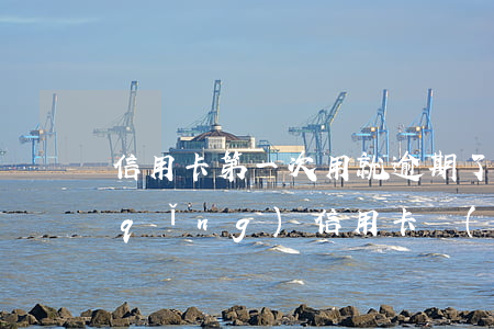信用卡第一次用就逾期了 有一次逾期申請(qǐng)信用卡會(huì)拒嗎