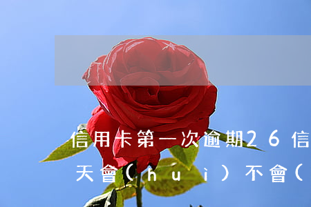 信用卡第一次逾期26(信用卡第一次逾期兩天會(huì)不會(huì)有不良記錄)