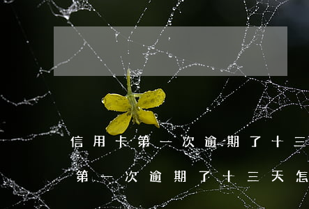 信用卡第一次逾期了十三天怎么辦-信用卡第一次逾期了十三天怎么辦理